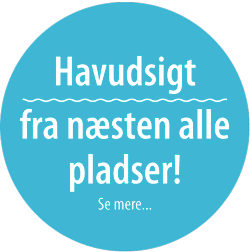 forside splash