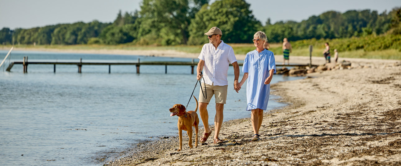 camping natur hygge