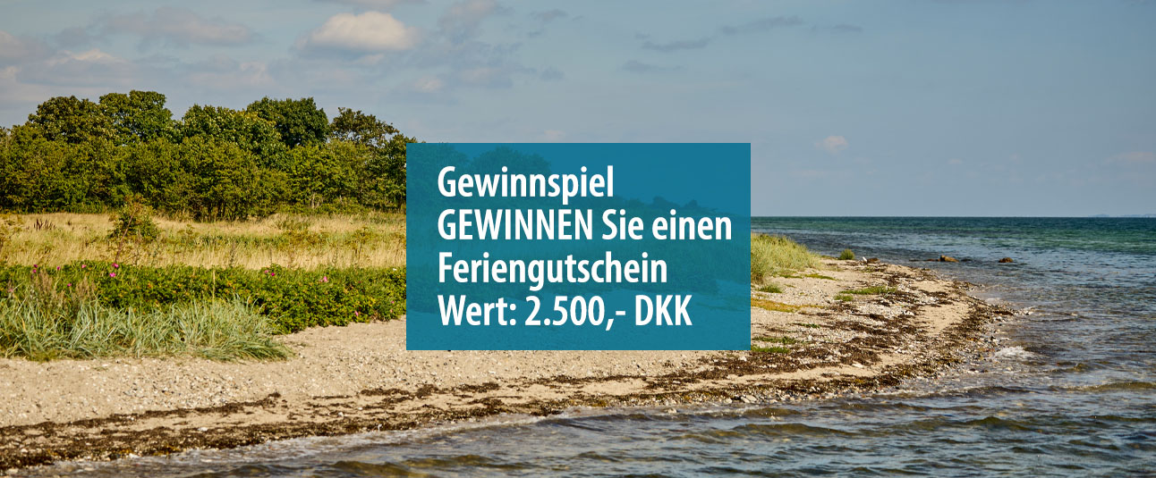 Newsletter-Wettbewerb – Geschenkgutschein gewinnen