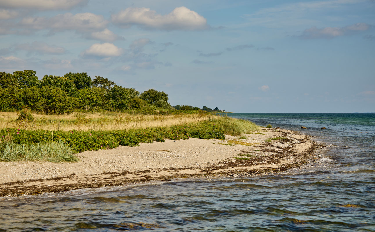 Kr. Himmelfart sæson